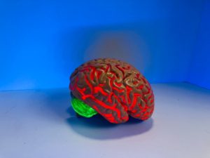 Brain figurine, blue background, red glowing cerebral cortex, green glowing frontal lobe