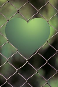 Green metal heart attached to a metal wire fence