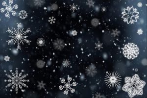 Black background with many different snowflakes on it.