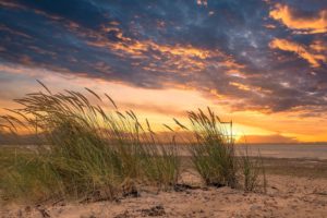 Black and orange scene of clouds at sunset over a beach with water, sand and reeds