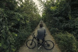 Young person on bicycle, back to camera, staring down a path between green trees.
